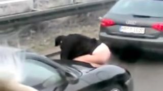 Shameless girl caught pissing on auto strada