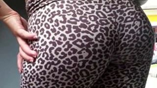Leopard ass
