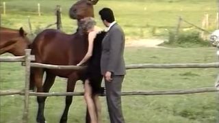 Horny vintage xxx video from the Golden Period