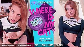 Where is my cat? - VirtualRealTrans